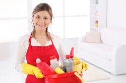 domestic cleaners w1