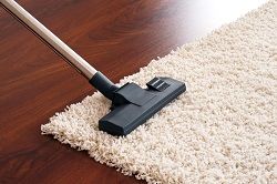 carpet cleaning sw1
