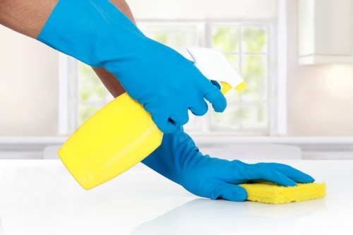 Local home cleaners in Westminster providing tailored domestic cleaning
