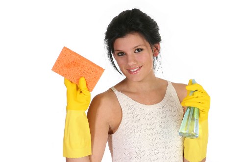 Westminster Cleaners introduction to professional cleaning values