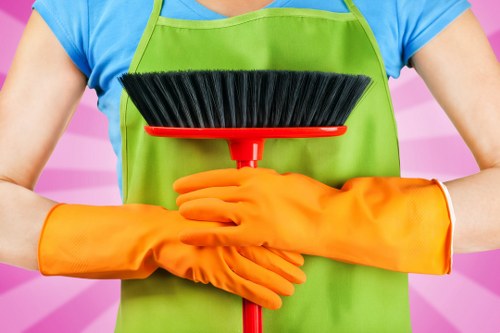 Professional one off cleaning in a Westminster home