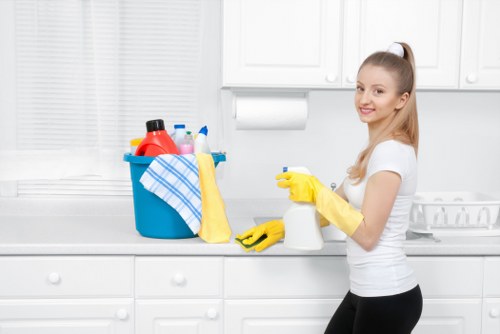 One off cleaning in a Westminster living room
