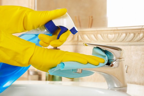 Bathroom cleaning in a Westminster property