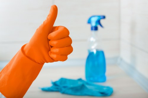 Westminster carpet maintenance for homes and businesses