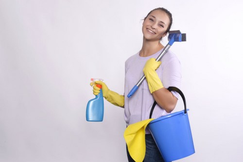 Professional upholstery cleaning sofa service in Westminster
