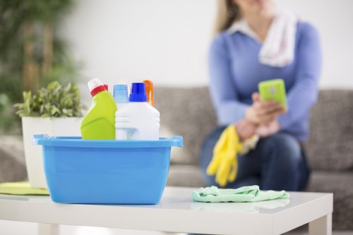 Deep rug cleaning services in Westminster improving indoor freshness