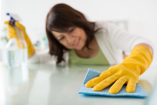 Professional cleaning company in Westminster for homes and offices