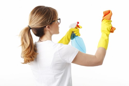 Regular house cleaning routine in Westminster