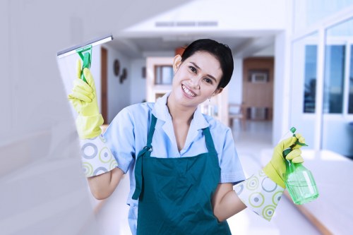 Detailed kitchen deep cleaning in Westminster with spotless surfaces