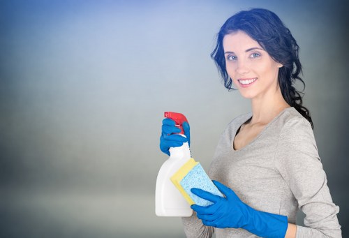Deep cleaning for a Westminster home with detailed surface care