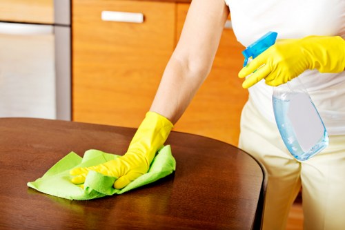 Professional cleaner in Westminster cleaning kitchen surfaces